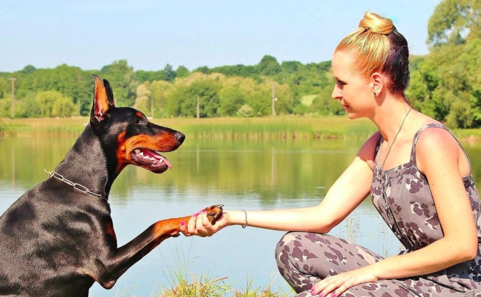 5 Ways Your Dog is Making You Healthy 1