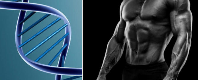 muscle-memory-is-in-our-dna