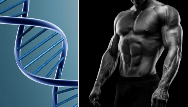muscle-memory-is-in-our-dna